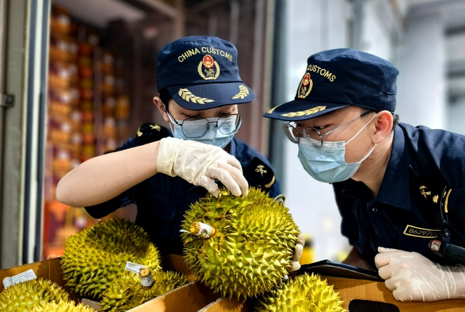 香港國際快遞報關